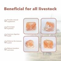 VidaXL Zoutlik stenen roze steenzout - thumbnail