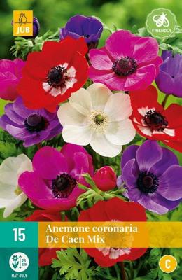 Anemone Coronaria De Caen Mix gemengd 15 bloembollen Anemoon JUB - Jub