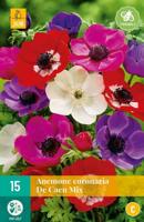 Anemone Coronaria De Caen Mix gemengd 15 bloembollen Anemoon JUB - Jub - thumbnail