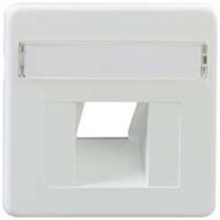 Rutenbeck ZSt UAE-Cat. 8 Centraal stuk 1-voudig UAE-Cat. 8 1 stuk(s) - thumbnail