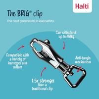 Hondentuigje Company of Animals L - thumbnail