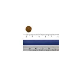 FARMINA N&D Quinoa Skin&Coat Cat Herring and Coconut Adult - droog kattenvoer - 300 g - thumbnail