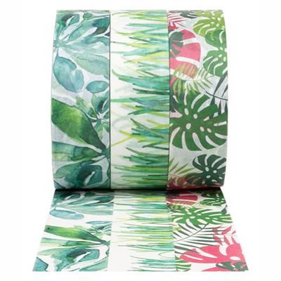 Colorations - washi tape planten 3 rollen, 5mtr.