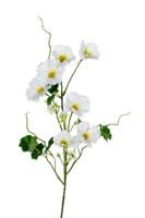 Nasturium l78cm wit/groen kunstbloem Louis Maes - Louis maes - thumbnail