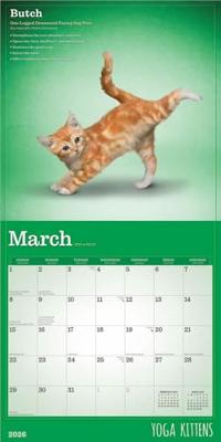 Yoga Kittens Kalender 2026 Yoga Kittens Kalender 2026