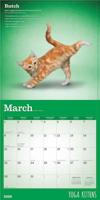 Yoga Kittens Kalender 2026 - thumbnail