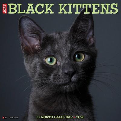 Zwarte Kittens Kalender 2026