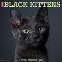Zwarte Kittens Kalender 2026 - thumbnail