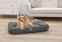 KERBL - Gevoerde vloermatras L - 80 x 60 x 6 cm - JEROME kussen - Donkergroen - - thumbnail