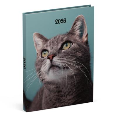 Agenda 2026 lannoo my favourite friends 7d/2p cats