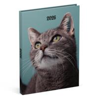Agenda 2026 lannoo my favourite friends 7d/2p cats - thumbnail