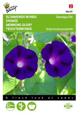 Zaden Ipomoea Klimmende winde Grandpa Ott Buzzy - Buzzy