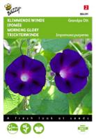 Zaden Ipomoea Klimmende winde Grandpa Ott Buzzy - Buzzy - thumbnail
