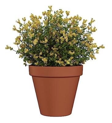 Terraliet bloempot 20x17cm terracotta