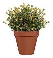 Terraliet bloempot 20x17cm terracotta - thumbnail