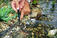 Oase vijvernet 6 x 10 meter - thumbnail