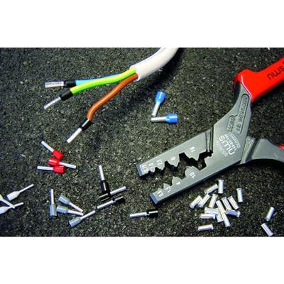 Imp Adereindhuls krtang