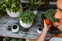 Vaas bol Rib 29x25 Ivoor Capi Europe - Capi europe - thumbnail