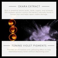 Okara Silver Radiance Ritual Toning Shampoo - thumbnail