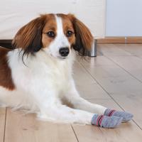Sokken Trixie Grijs L Hond - thumbnail