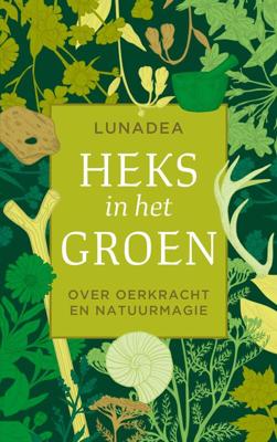 Heks in het groen - Lunadea - ebook