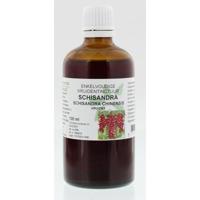 Cruydhof Schisandra chinensis fruct tinctuur 100 Milliliter - thumbnail