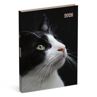Agenda 2026 lannoo my favourite friends 7d/2p cats