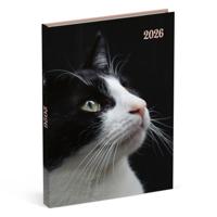 Agenda 2026 lannoo my favourite friends 7d/2p cats - thumbnail