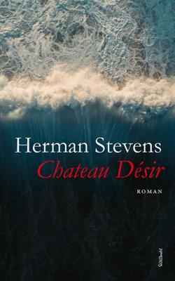 Chateau Désir - Herman Stevens - ebook