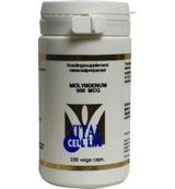 Vital Cell Life Molybdenum 500 mcg 100 Capsules Vital Cell Life Molybdenum 500 mcg 100 Capsules