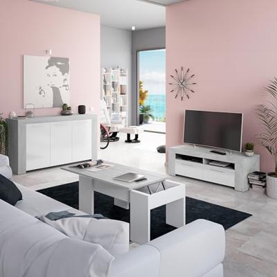 AMBIT TV-meubel met 2 deuren - eigentijdse stijl - grijs en wit - L 120 cm AMBIT TV-meubel met 2 deuren - eigentijdse stijl - grijs en wit - L 120 cm