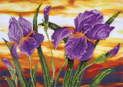 Brandunit Diamond painting - diamond dotz iris sunset - 52x37 cm Brandunit Diamond painting - diamond dotz iris sunset - 52x37 cm