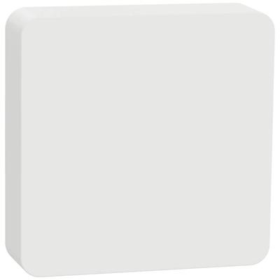 Schneider Electric Wiser CCT593012 Temperatuursensor, Luchtvochtigheidssensor CCT593012