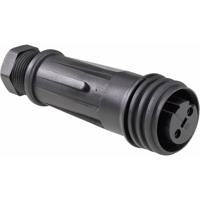 Bulgin PX0921/02/S Ronde connector Bus, recht Totaal aantal polen: 2 Serie (ronde connectoren): PX 1 stuk(s) - thumbnail