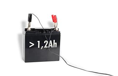 Ansmann ALCS2-12 0.4 Stekkerlader 6 V, 2 V, 12 V 0.4 A