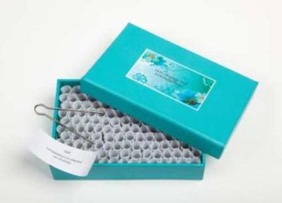 Een doosje vol vriendschap - Gekleurd