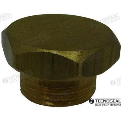 Ánodos para Aifo TEN02010TP/99 - TAPON ANODO AIFO TEN02010T DIA 13