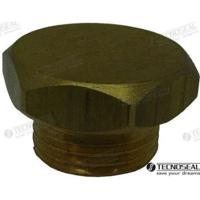 Ánodos para Aifo TEN02010TP/99 - TAPON ANODO AIFO TEN02010T DIA 13 - thumbnail