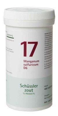 Pfluger Celzout 17 Manganum Sulfuricum D6 Tabletten