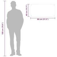 VidaXL Spatschermen keuken 2 st 80x40 cm gehard glas transparant - thumbnail