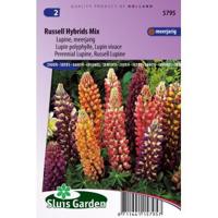 Lupinus Polyphyllus zaden Russell Hybrids Mix - thumbnail