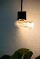 LED lamp Linear clear S14d 6,2W 500mm 2700K 460lm filament Segula dimbaar 55097 - thumbnail