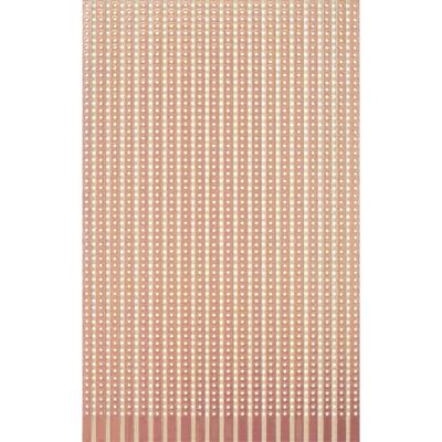 Rademacher WR-Typ 721 Experimenteer printplaat Hardpapier (l x b) 160 mm x 100 mm 35 µm Rastermaat 5.08 mm Inhoud 1 stuk(s)