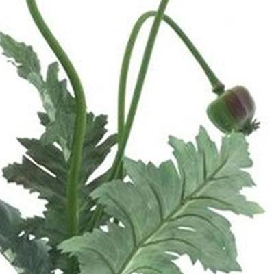 Poppy spray Casper red 93 cm kunstbloem Erutan Avon - Erutan avon