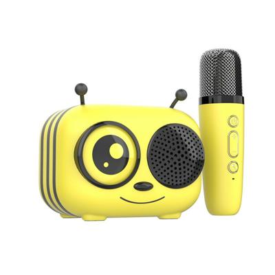 Kit karaoke / Altoparlante Bluetooth e microfono wireless - Termini e condizioni - MAYA, Effetti vocali magici, Durata della batteria di 8 ore, Ricarica USB Kit karaoke / Altoparlante Bluetooth e microfono wireless - Termini e condizioni - MAYA, Effetti vocali magici, Durata della batteria di 8 ore, Ricarica USB