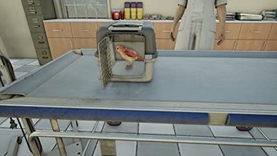 Animal Doctor Animal Doctor