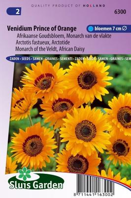 Venidium Fastuosum zaden Prince of Orange