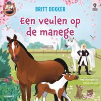 Een veulen op de manege - thumbnail