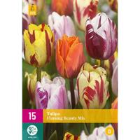 Tulp flaming beauty mix 15 bollen - thumbnail