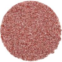 PFERD TOOLS CD 38 A 36 FORTE 42751403 Schuurblad Korrelgrootte (num) 36 (Ø) 38 mm 100 stuk(s) - thumbnail